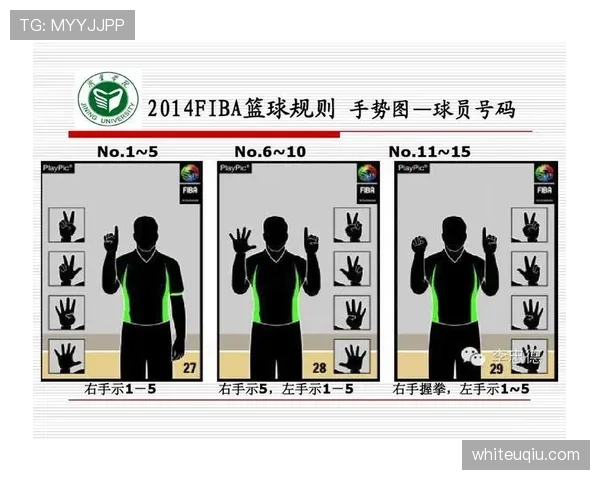 篮球底线规则解析：出界判断与球权归属详解