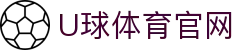U球体育 (Uqiu) 移动端下载 - 随时随地开启足球、篮球巅峰赛事体验